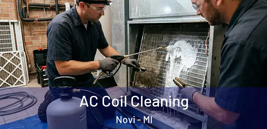 AC Coil Cleaning Novi - MI